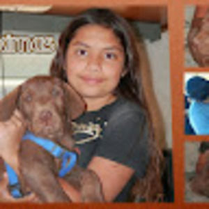 Meet your Posher, Monica